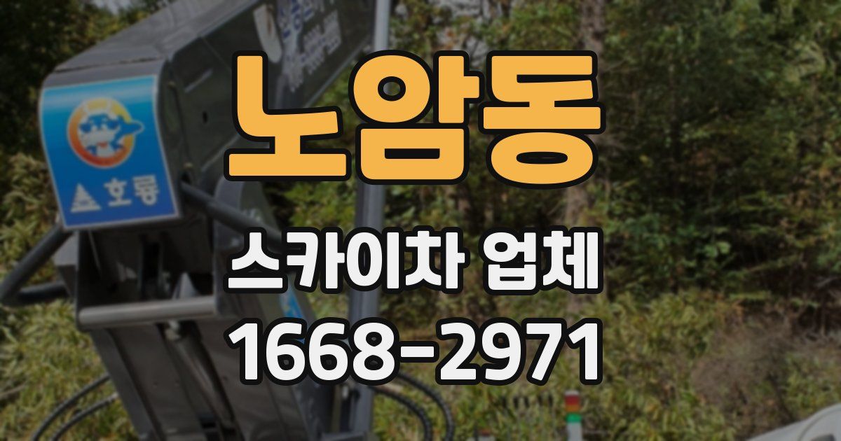 노암동 스카이차 업체