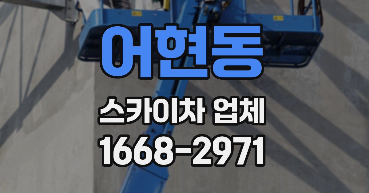 어현동 스카이차 업체