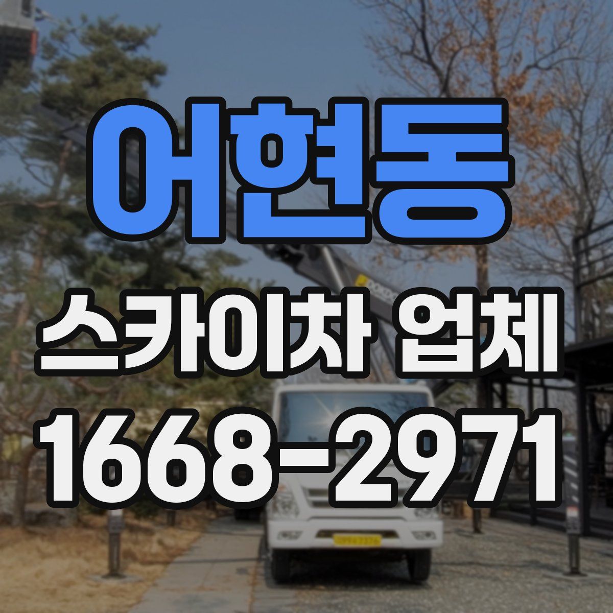 어현동 스카이차 업체