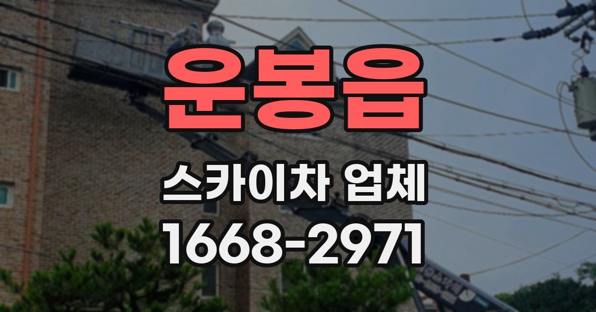 운봉읍 스카이차 업체