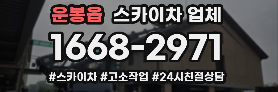 운봉읍 스카이차 업체