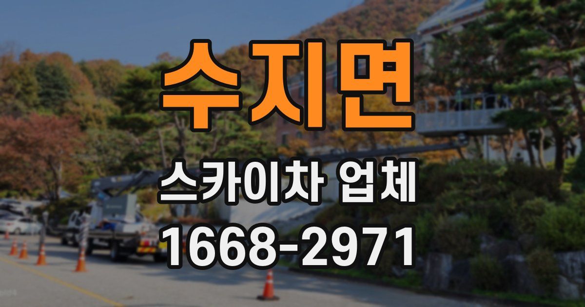 수지면 스카이차 업체