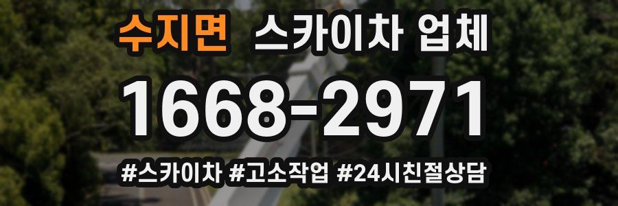 수지면 스카이차 업체