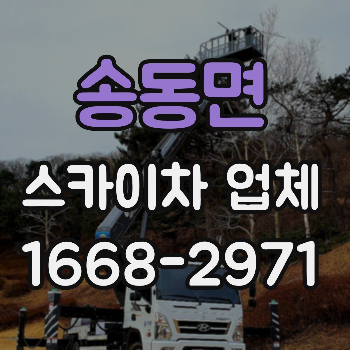 송동면 스카이차 업체
