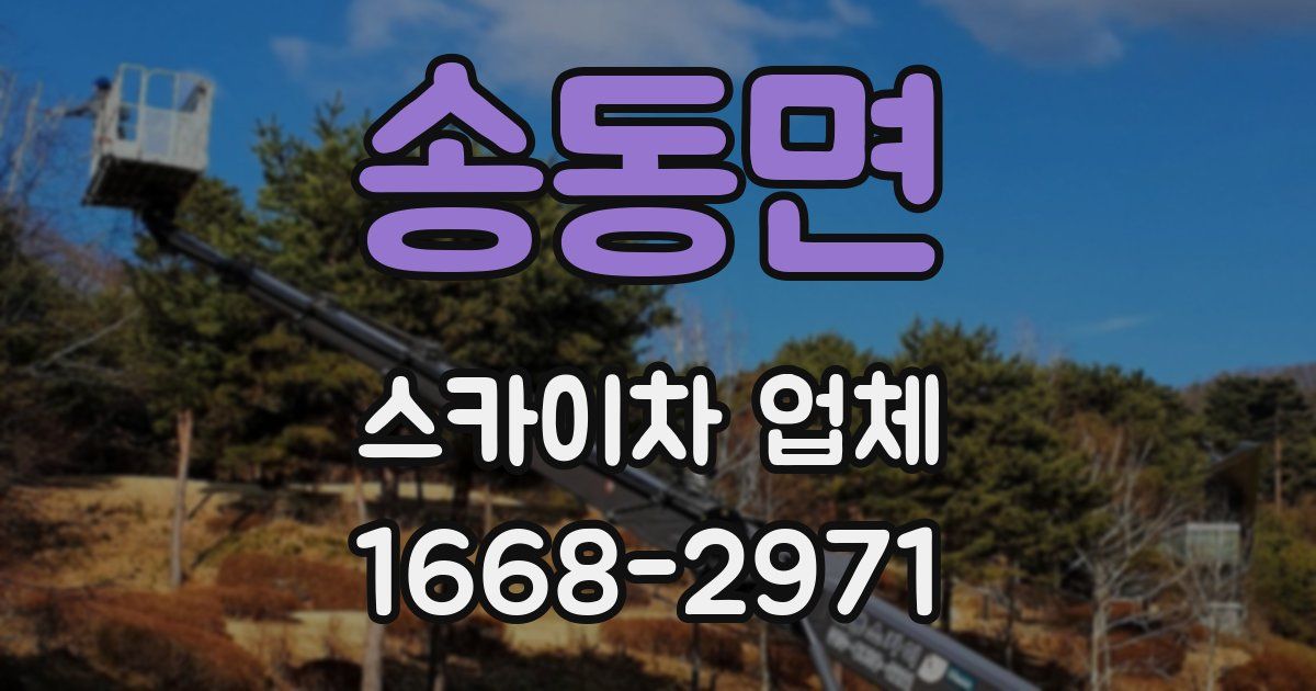 송동면 스카이차 업체