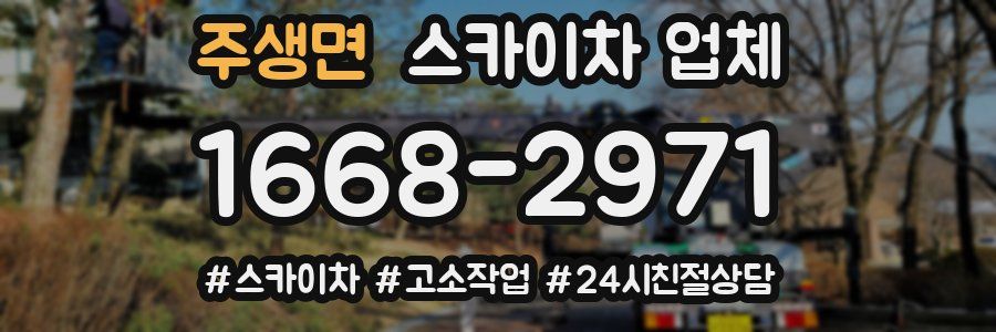 주생면 스카이차 업체