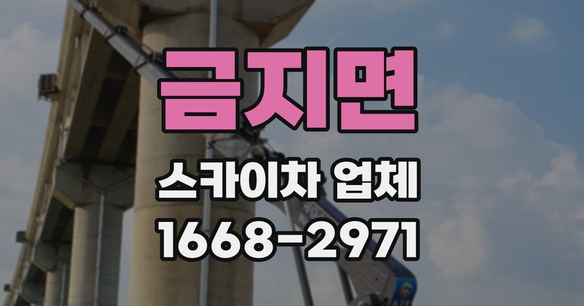 금지면 스카이차 업체