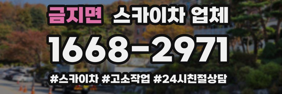 금지면 스카이차 업체