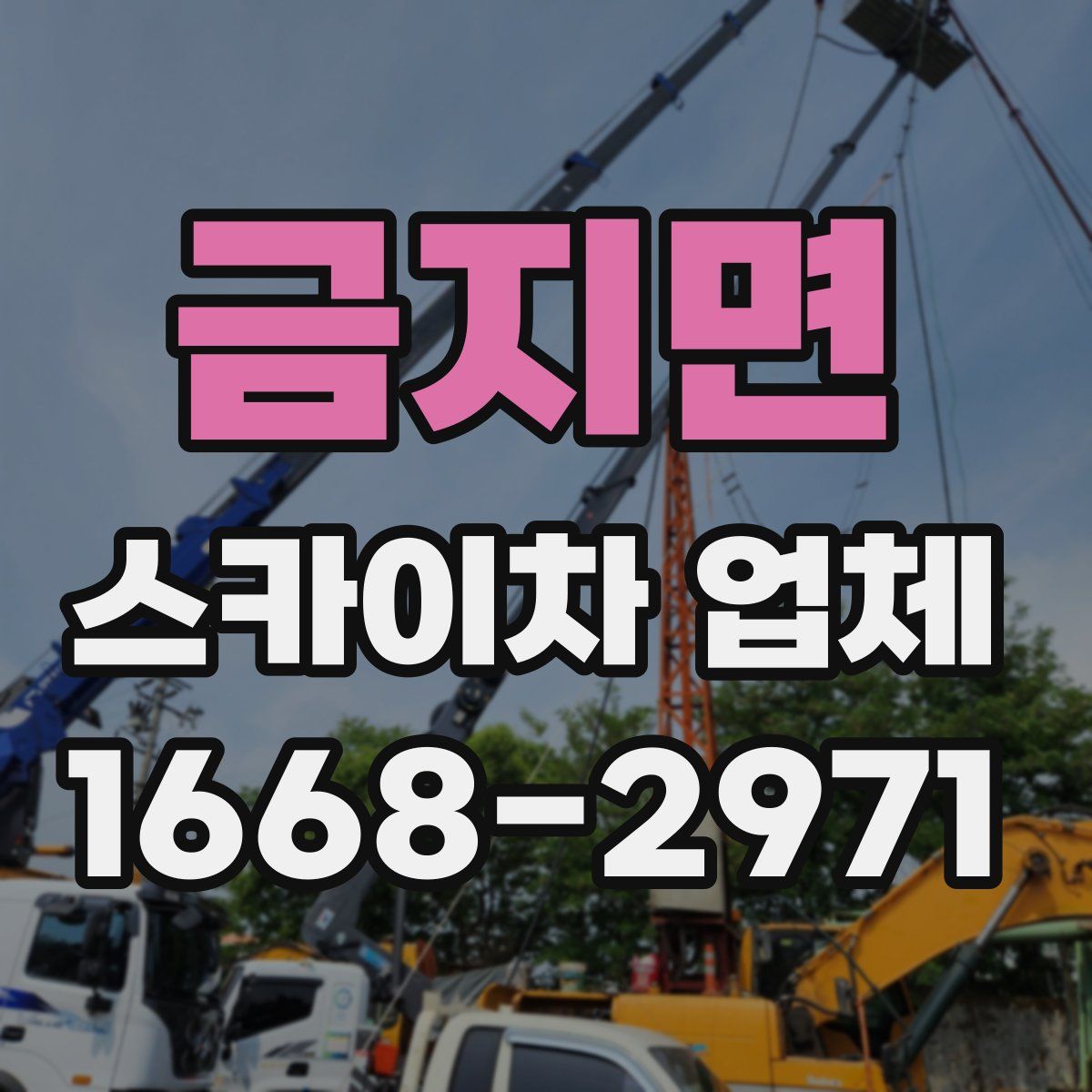 금지면 스카이차 업체