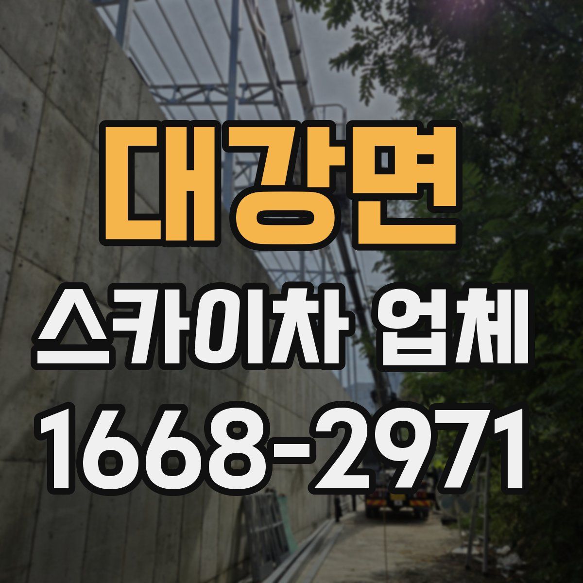 대강면 스카이차 업체