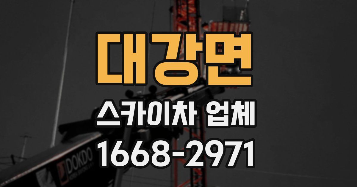 대강면 스카이차 업체