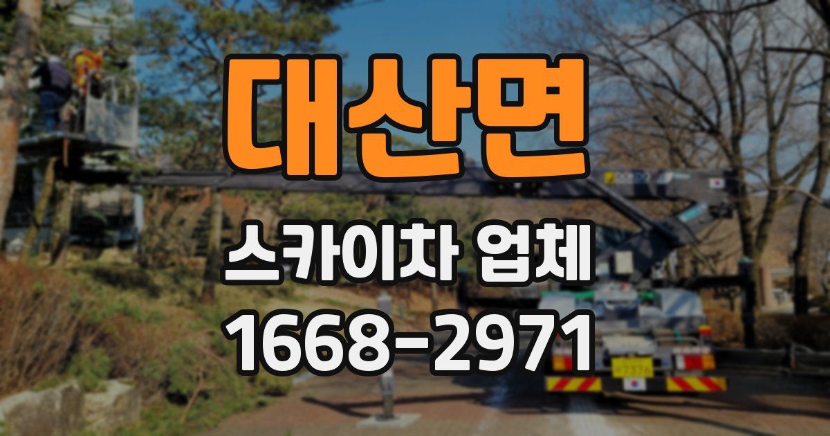 대산면 스카이차 업체