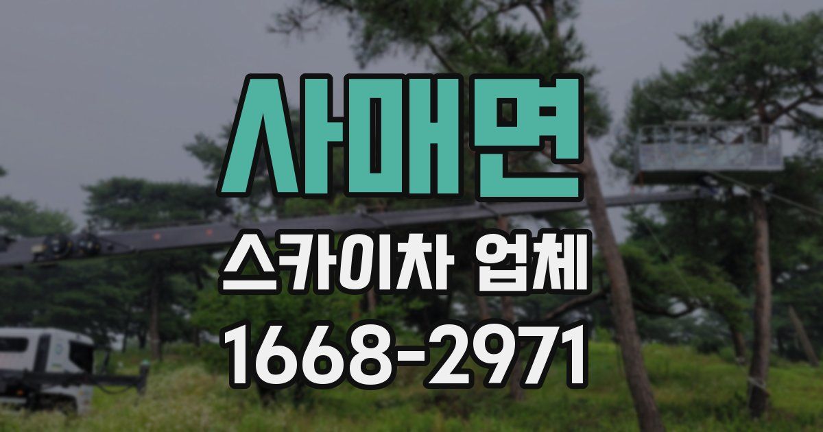 사매면 스카이차 업체