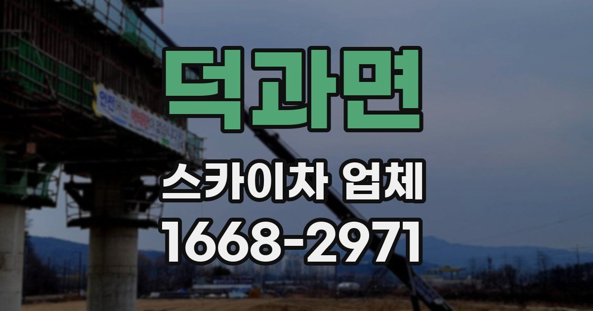 덕과면 스카이차 업체