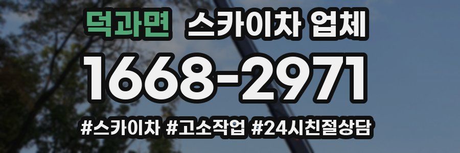 덕과면 스카이차 업체