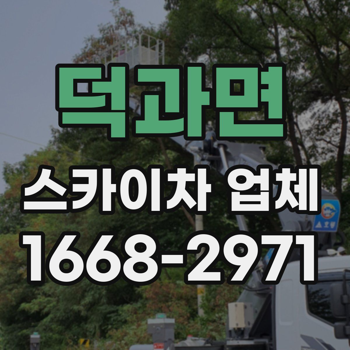 덕과면 스카이차 업체