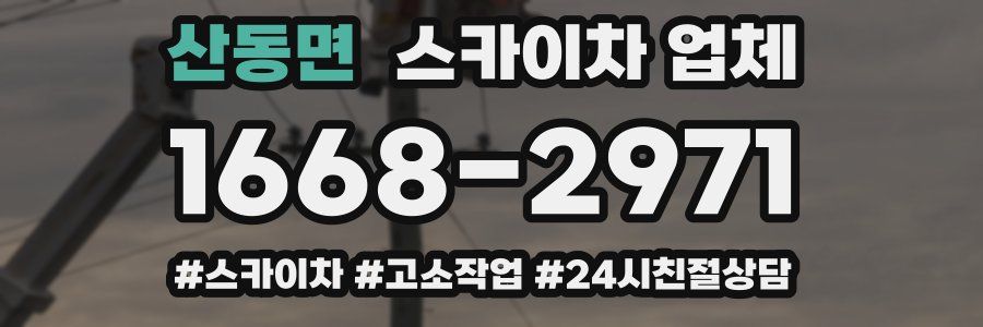 산동면 스카이차 업체