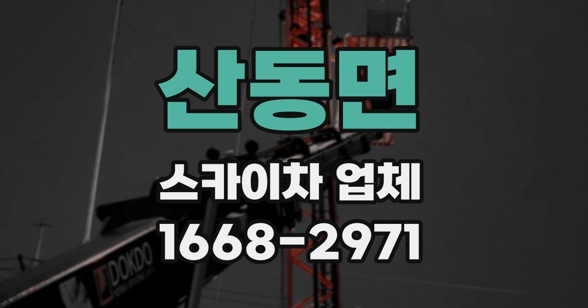 산동면 스카이차 업체