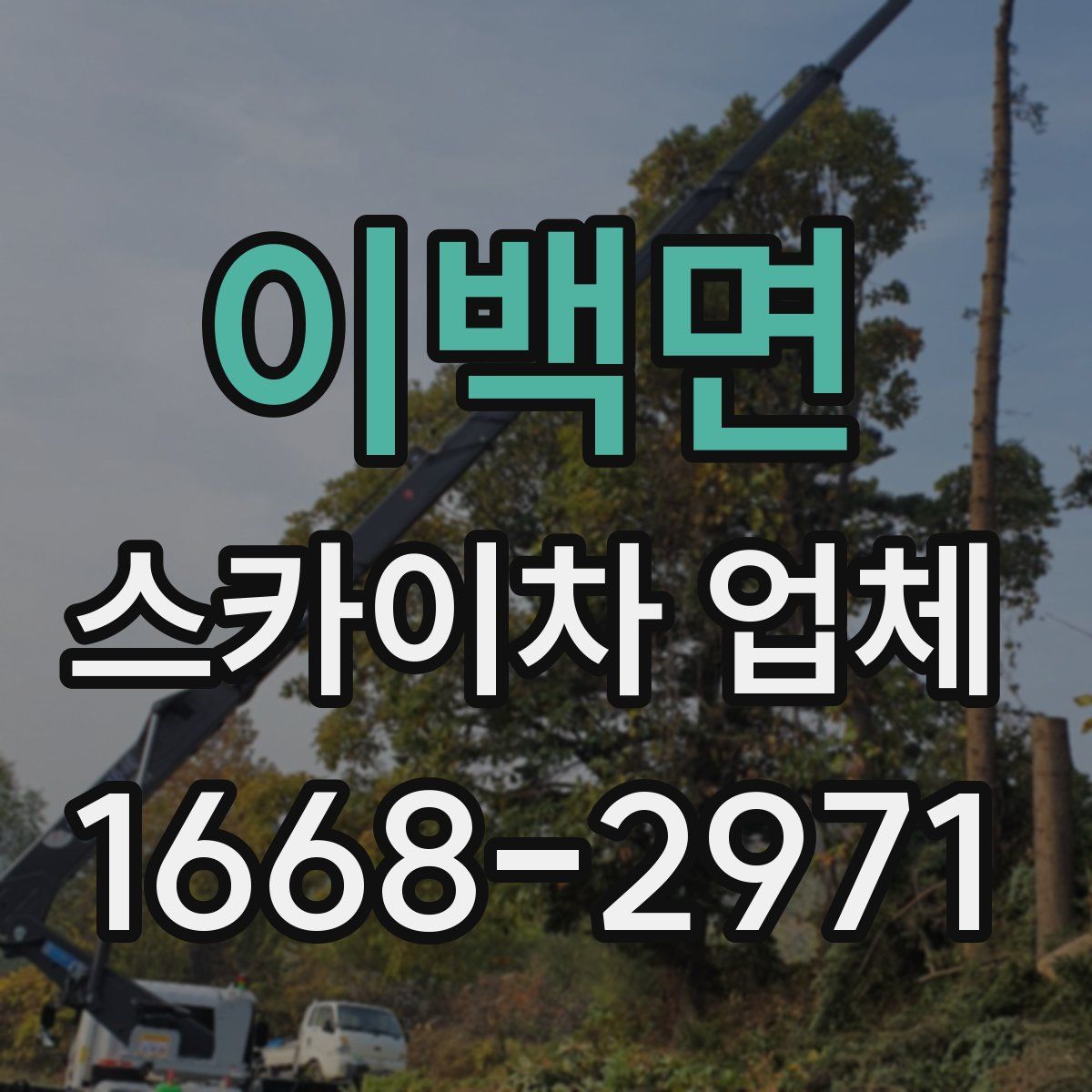 이백면 스카이차 업체