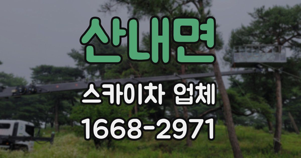 산내면 스카이차 업체