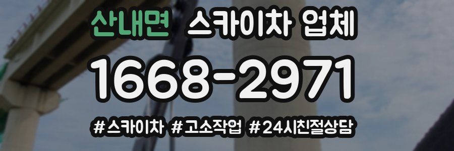 산내면 스카이차 업체