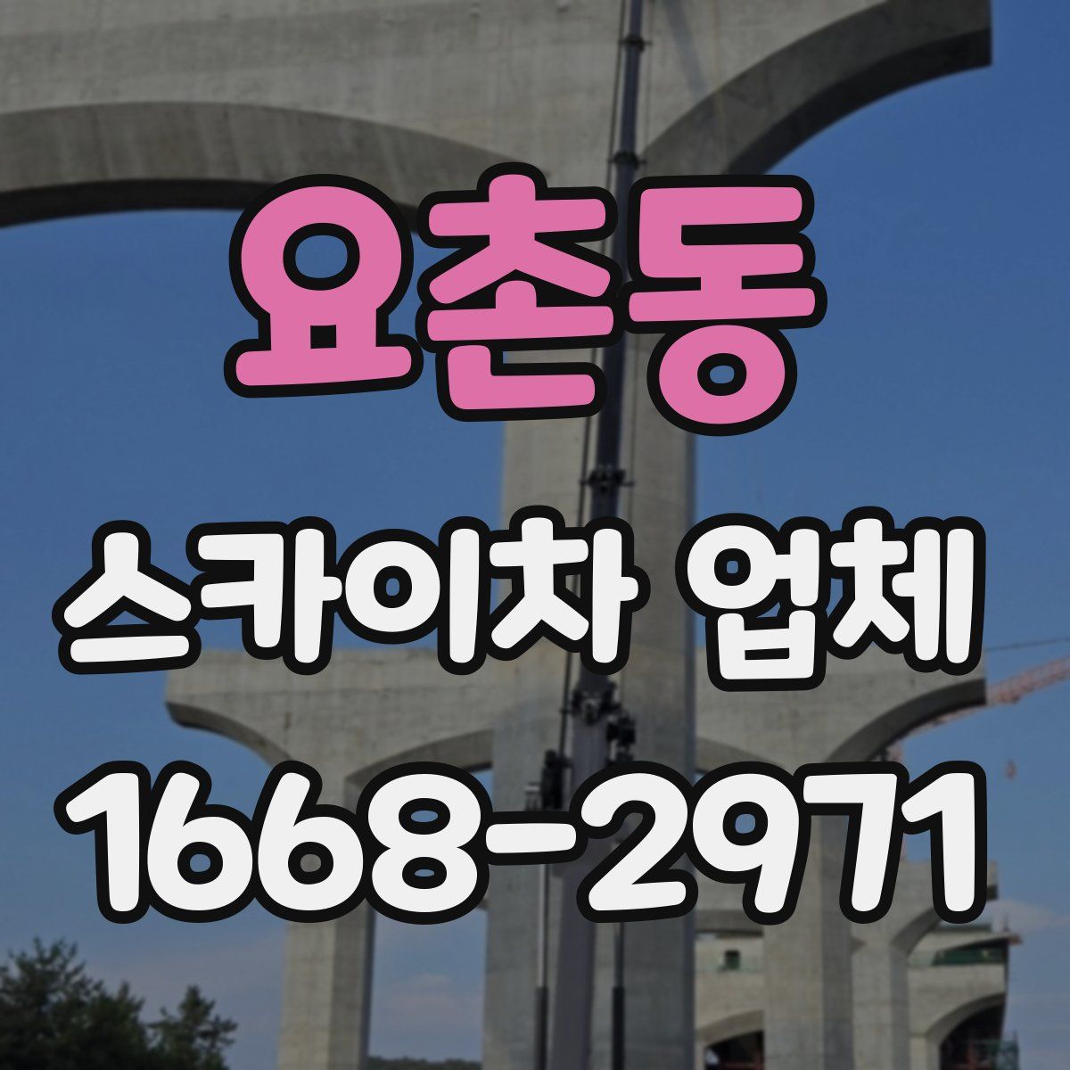 요촌동 스카이차 업체