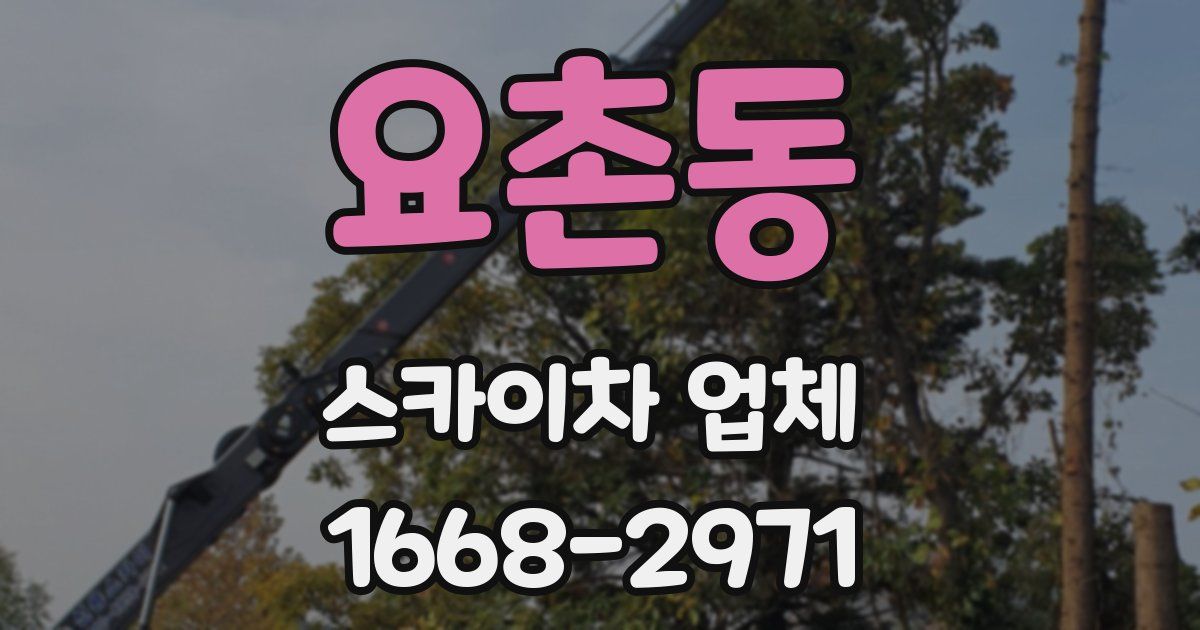 요촌동 스카이차 업체