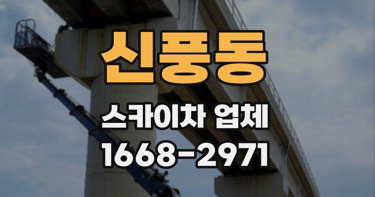 신풍동 스카이차 업체
