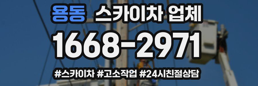 용동 스카이차 업체