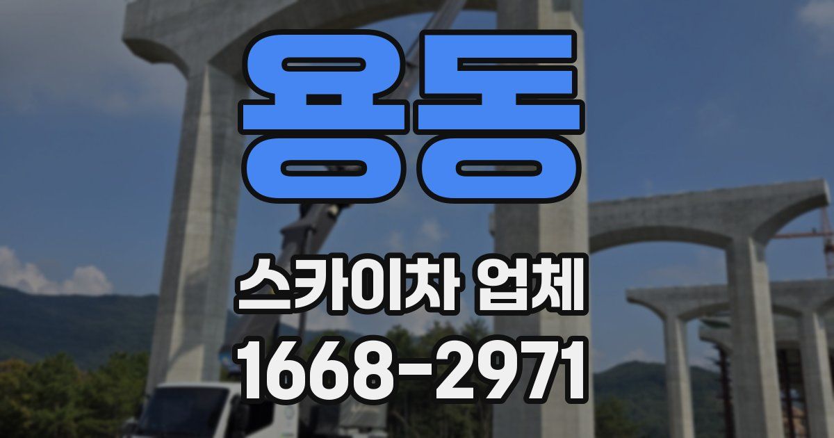 용동 스카이차 업체