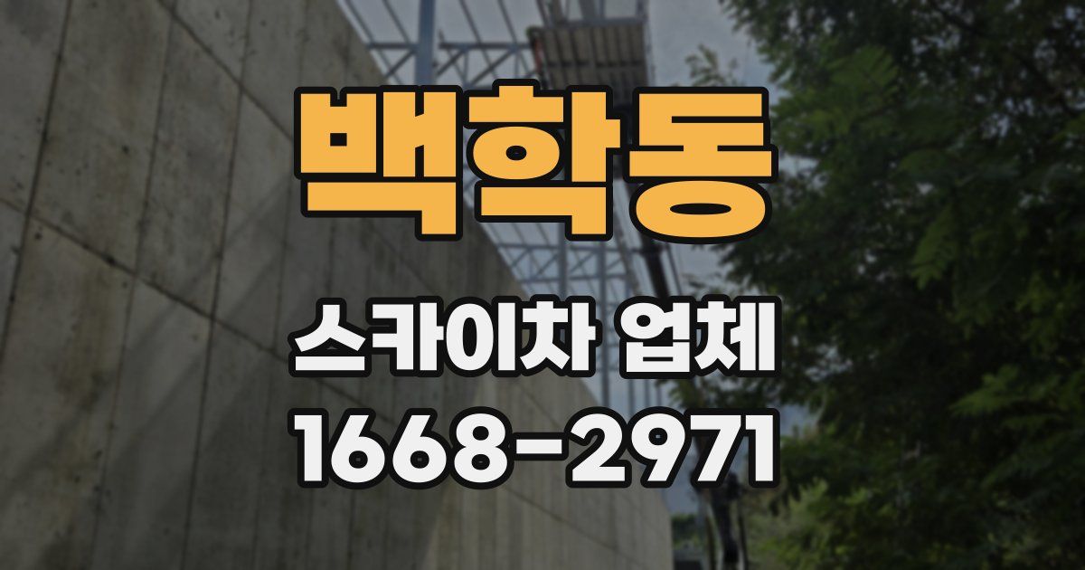 백학동 스카이차 업체