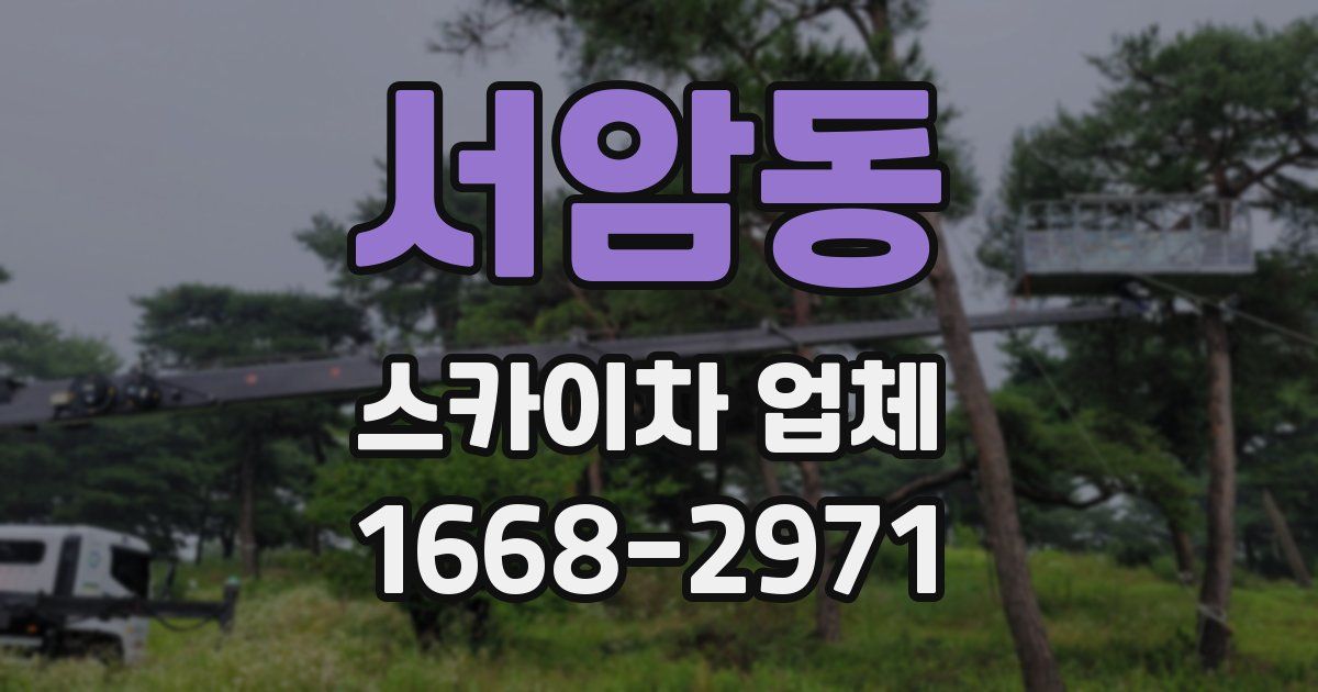 서암동 스카이차 업체
