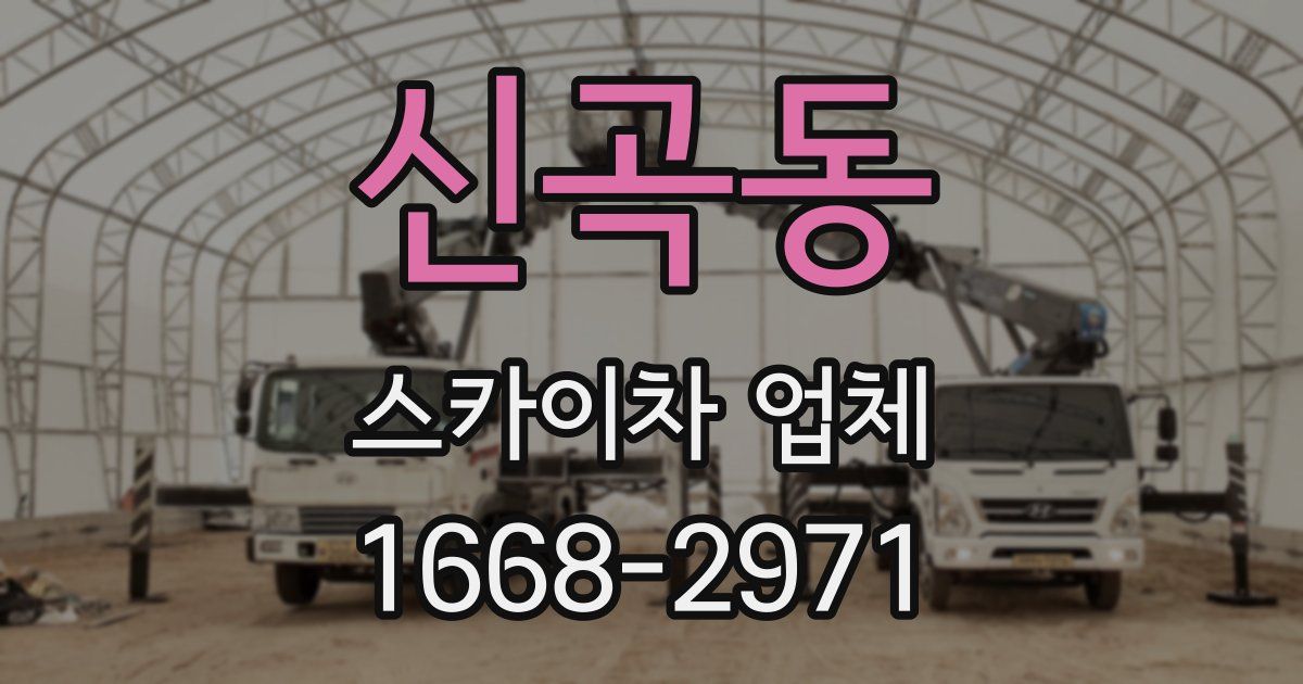 신곡동 스카이차 업체