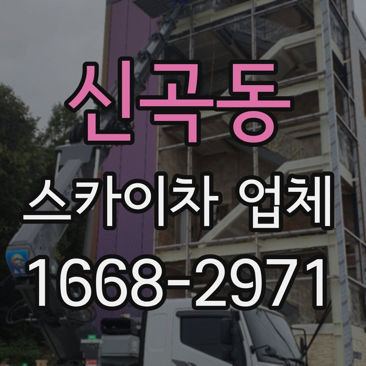신곡동 스카이차 업체