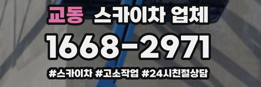 교동 스카이차 업체