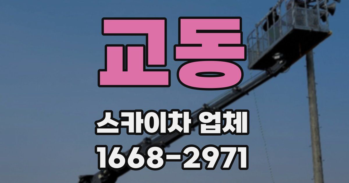 교동 스카이차 업체