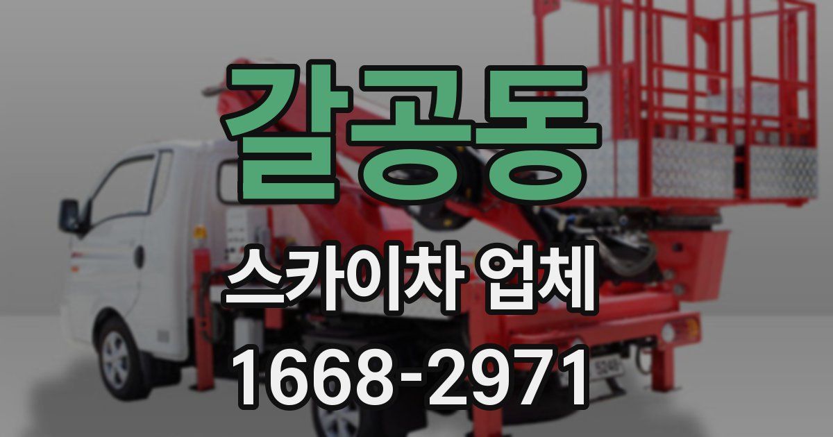 갈공동 스카이차 업체