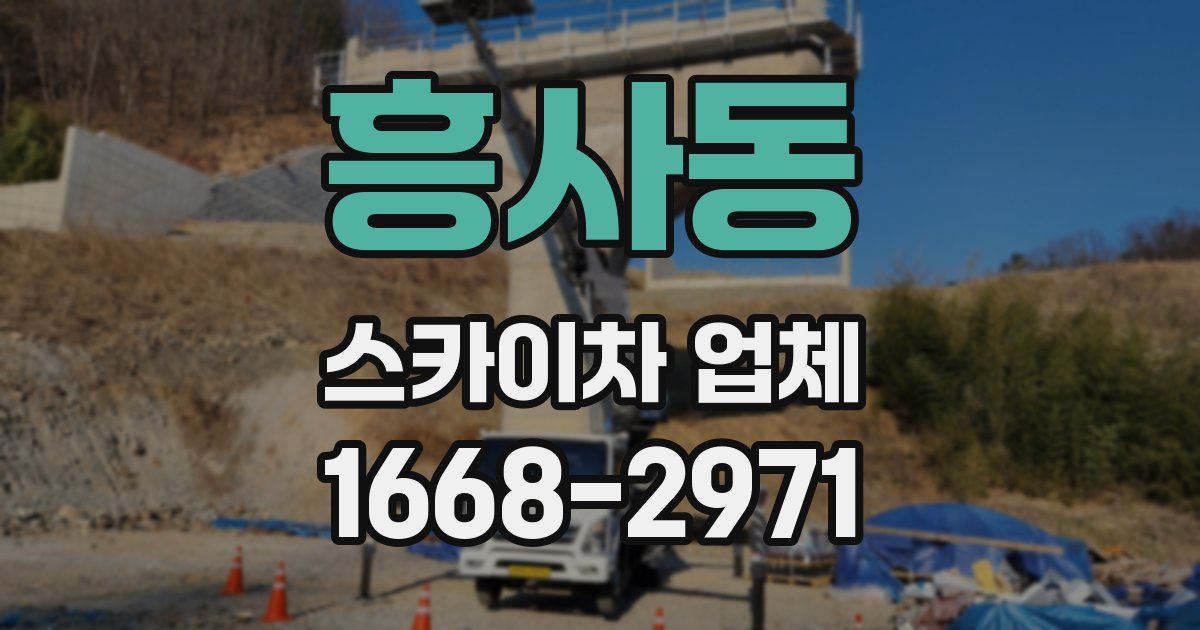 흥사동 스카이차 업체