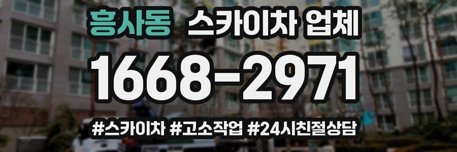 흥사동 스카이차 업체
