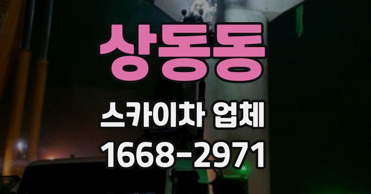상동동 스카이차 업체