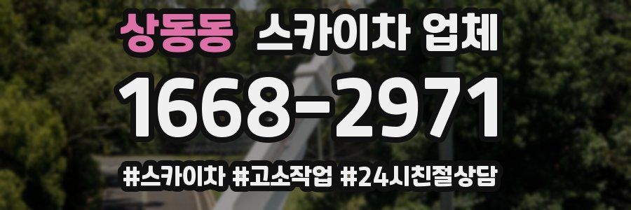 상동동 스카이차 업체