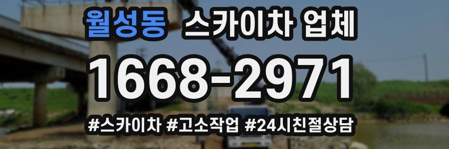 월성동 스카이차 업체