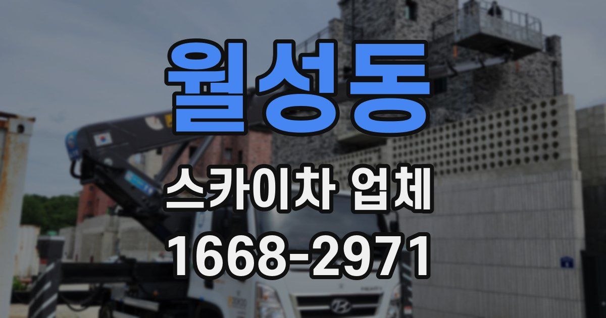 월성동 스카이차 업체