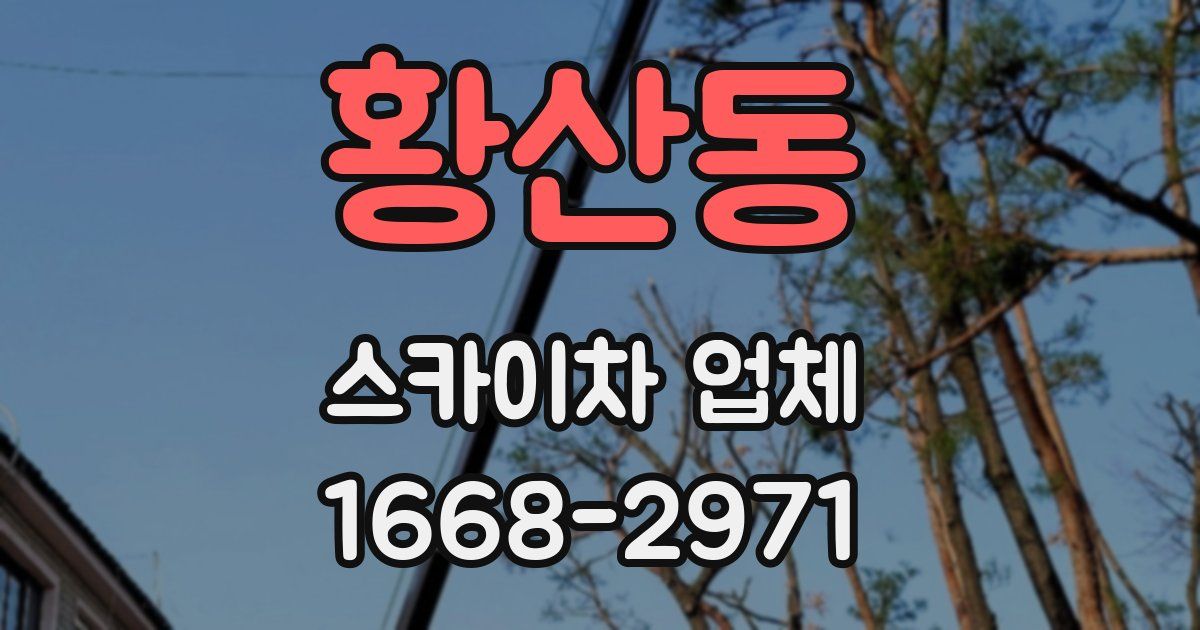 황산동 스카이차 업체