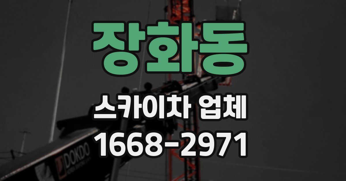 장화동 스카이차 업체