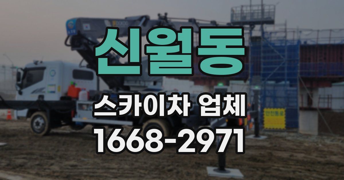 신월동 스카이차 업체