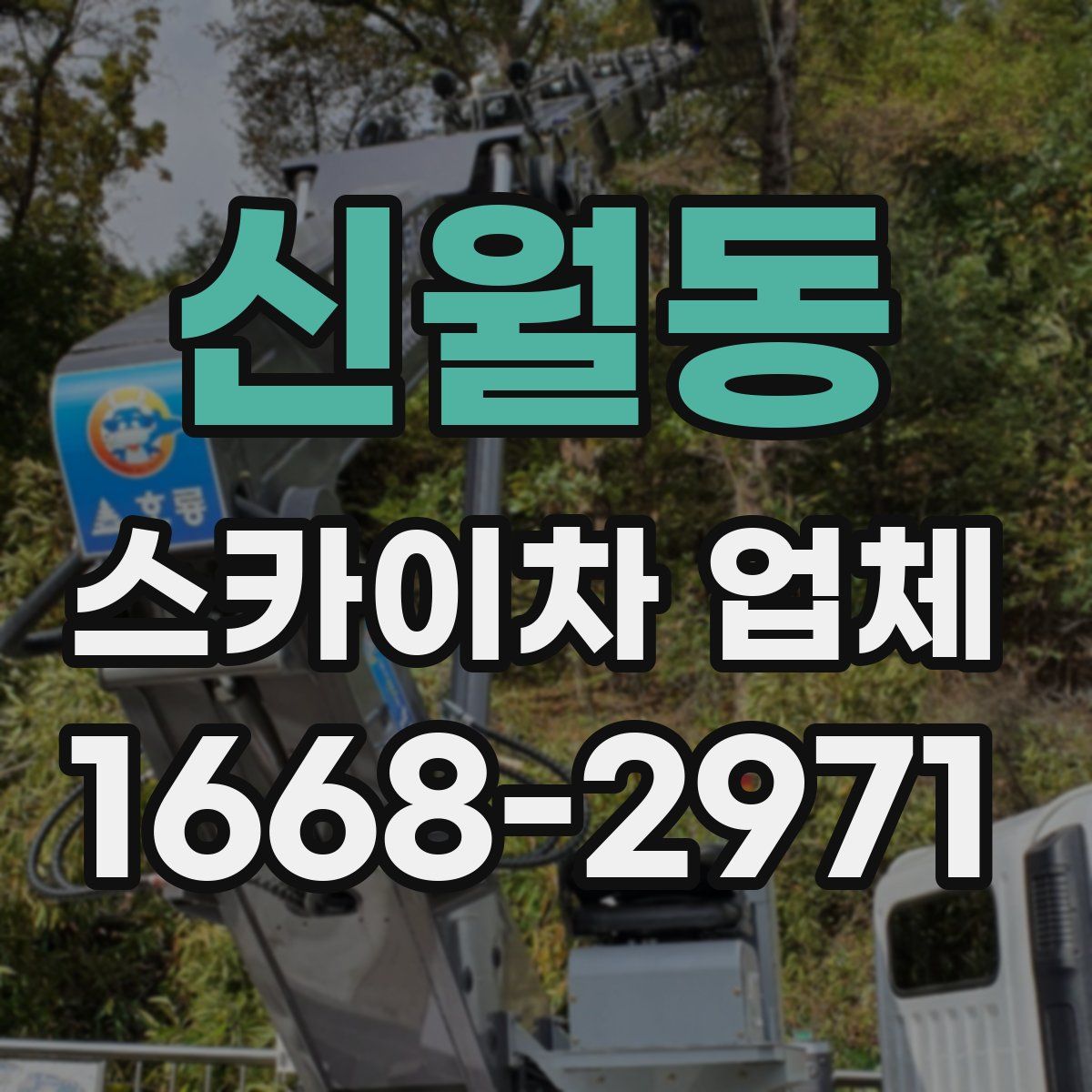 신월동 스카이차 업체