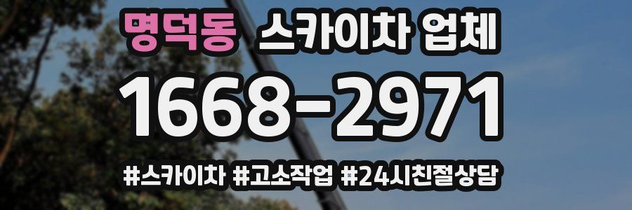 명덕동 스카이차 업체