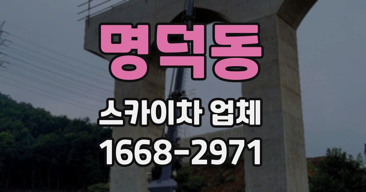 명덕동 스카이차 업체