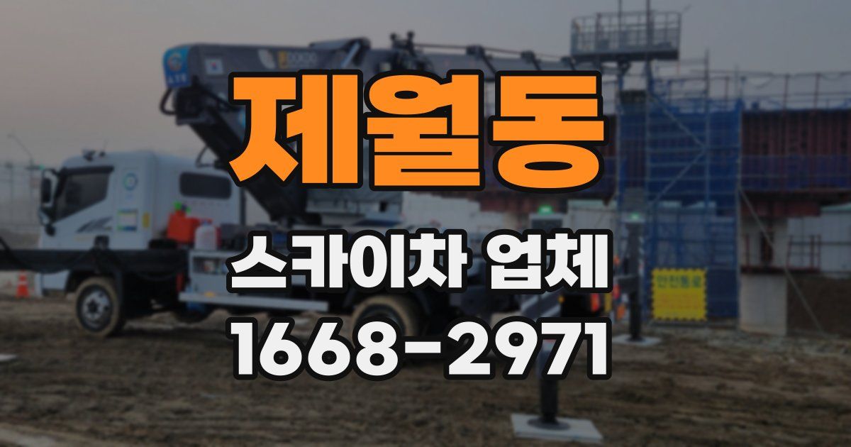 제월동 스카이차 업체